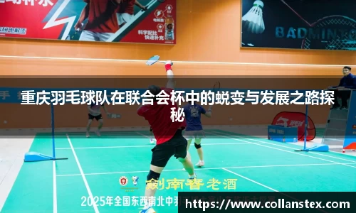OD体育官网